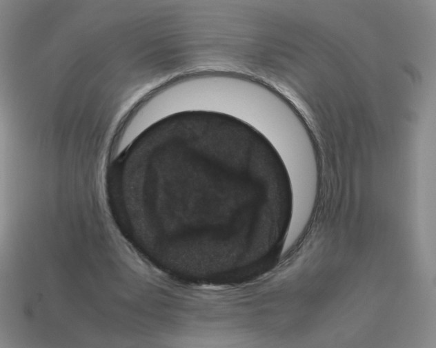 X0000113240391200910221105