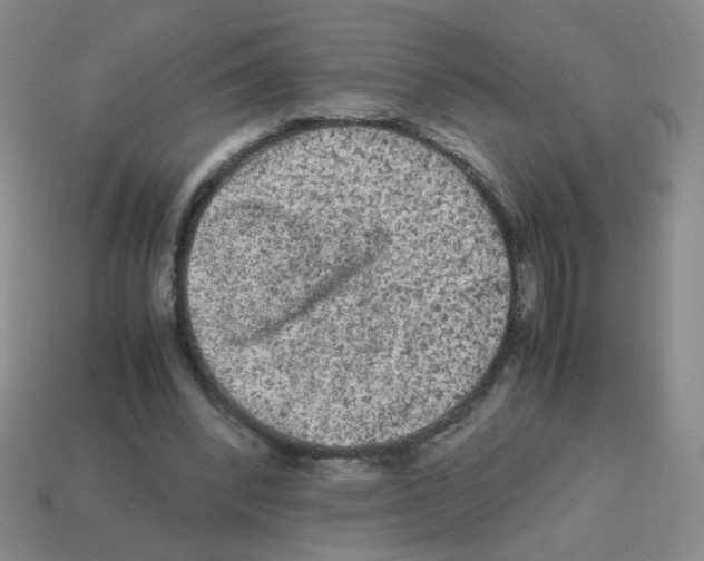 X0000113240392200910221105