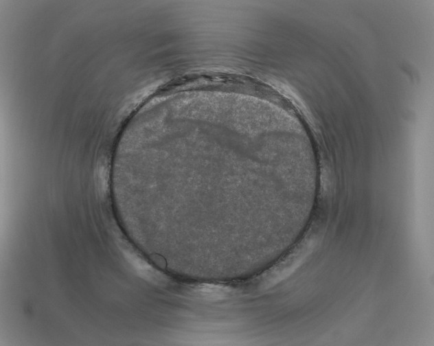 X0000113240393200910221105