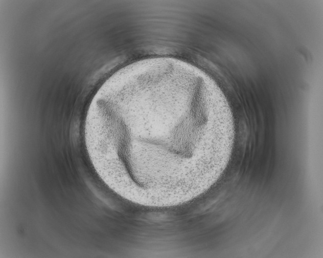 X0000113240394200910221105