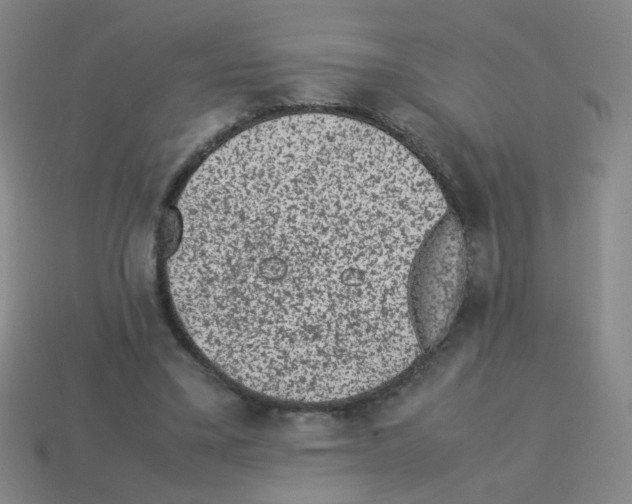 X0000113240395200910221105