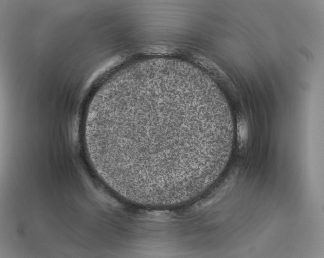 X0000113240396200910221105