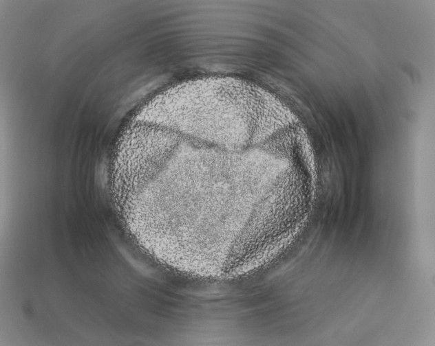 X0000113240398200910221105