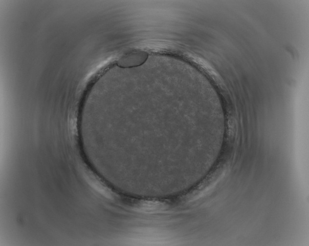 X0000113240399200910221105