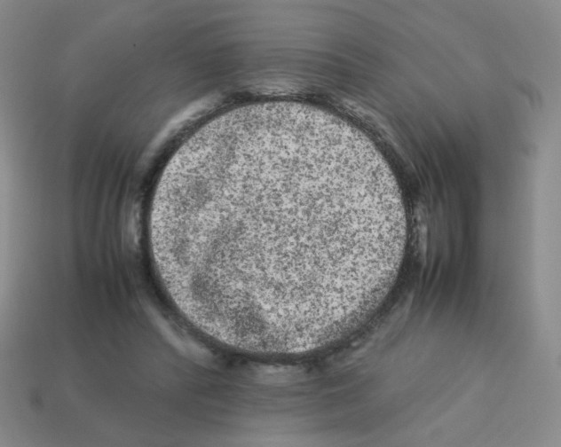 X0000113240400200910221105