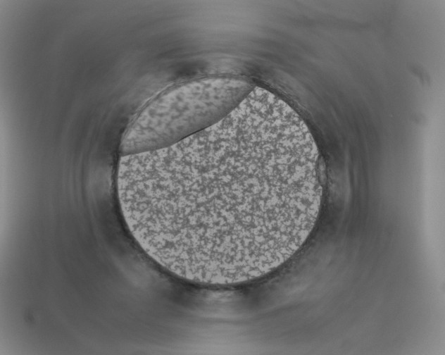 X0000113240401200910221105