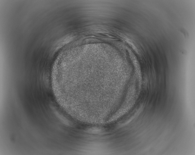 X0000113240402200910221105
