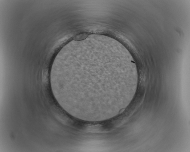 X0000113240403200910221105