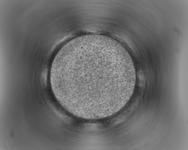 X0000113240404200910221105