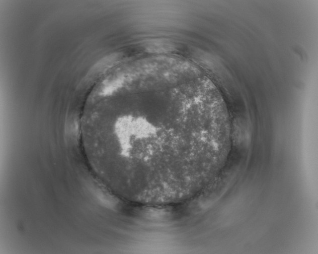X0000113240405200910221105