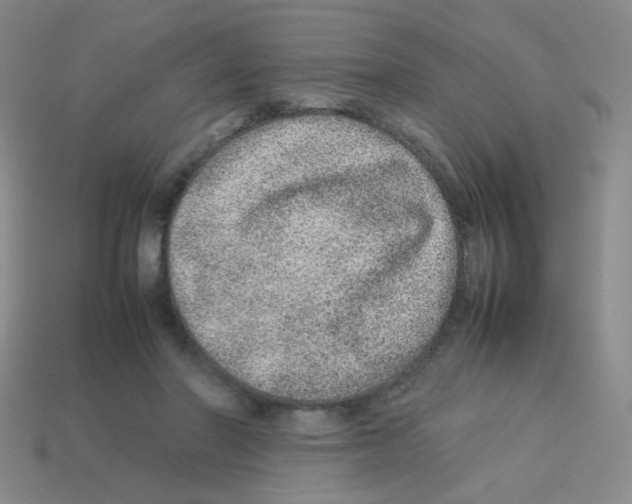X0000113240406200910221105