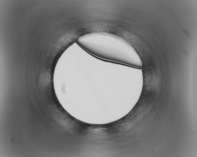 X0000113240407200910221105