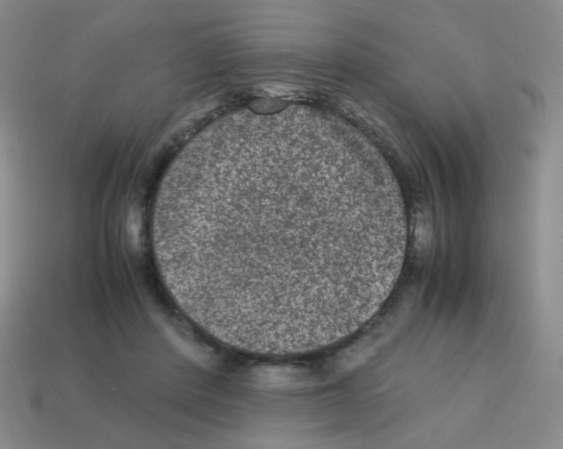 X0000113240408200910221105