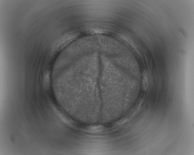 X0000113240410200910221105