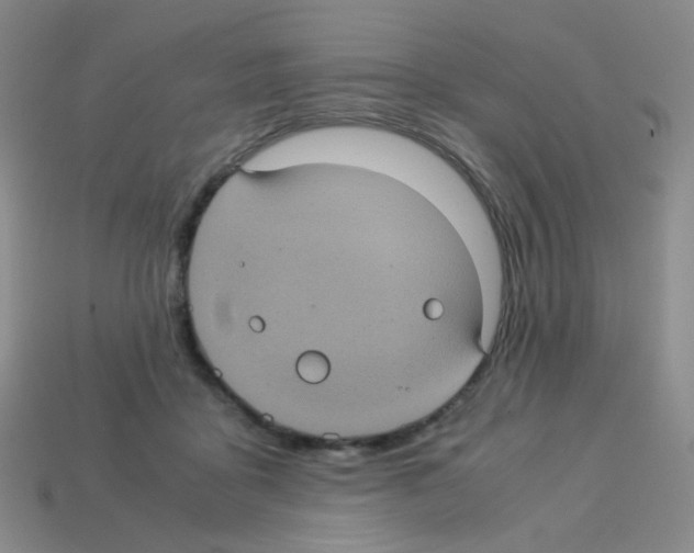X0000113240411200910221105