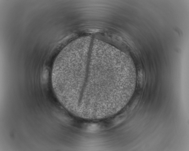 X0000113240412200910221105