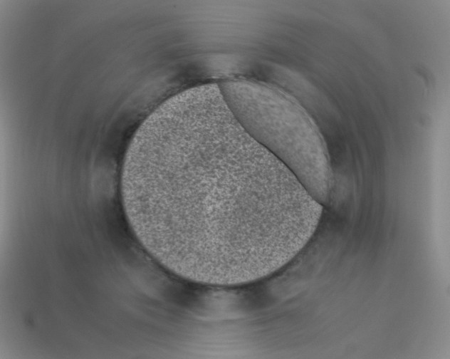 X0000113240413200910221104