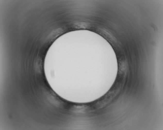 X0000113240414200910221104