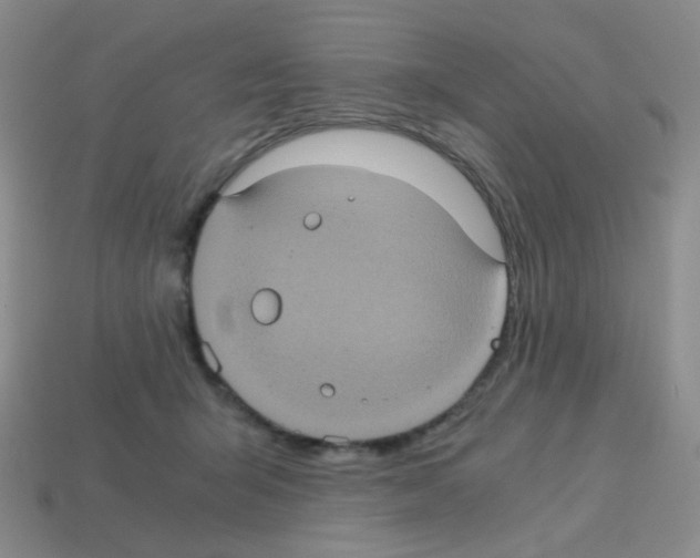 X0000113240415200910221104