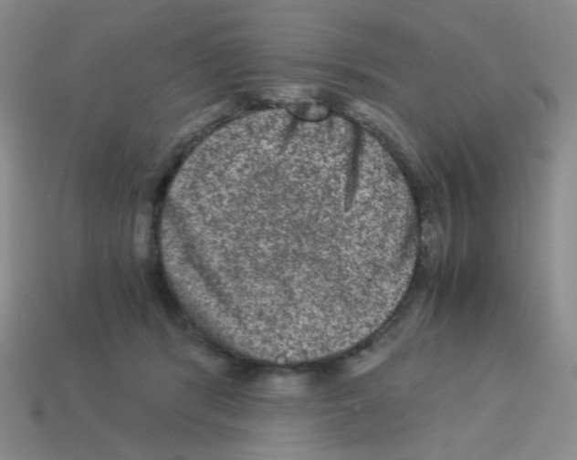 X0000113240416200910221104