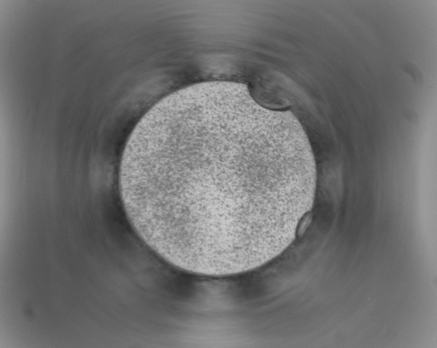 X0000113240417200910221104