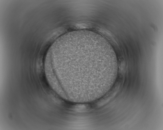 X0000113240418200910221104