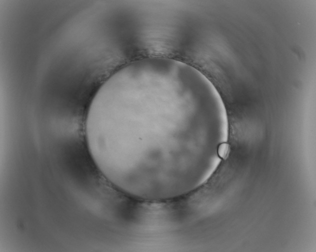 X0000113240419200910221104