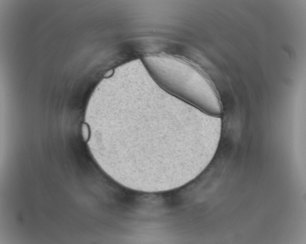 X0000113240421200910221104