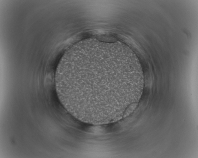 X0000113240425200910221104