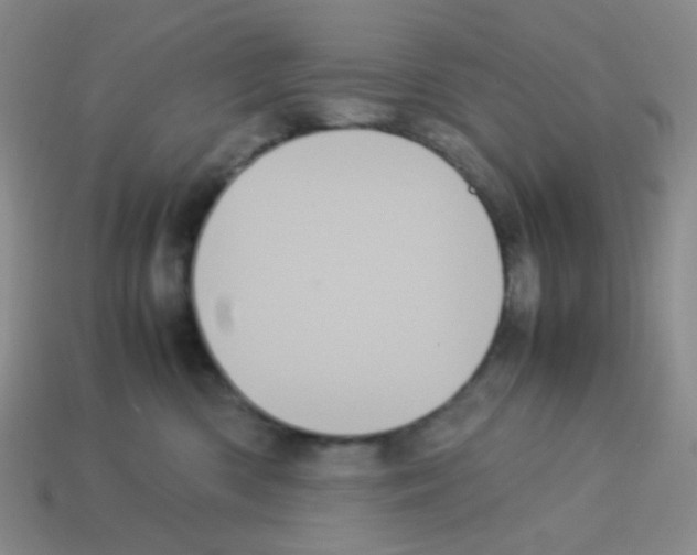 X0000113240426200910221104