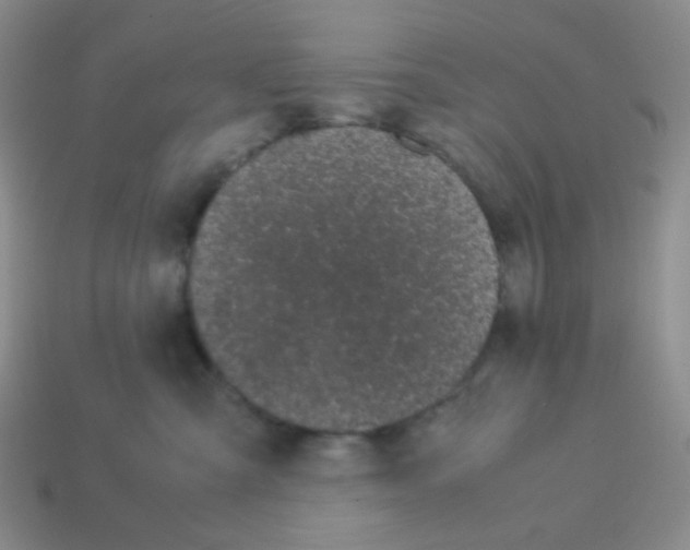 X0000113240427200910221104