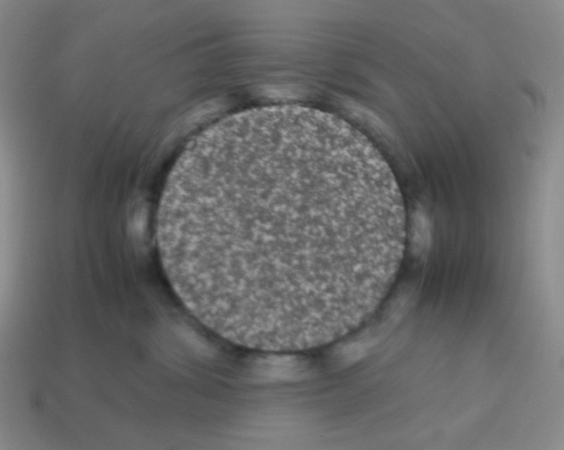 X0000113240428200910221104