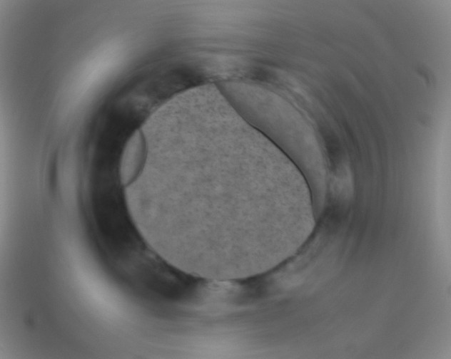 X0000113240429200910221104