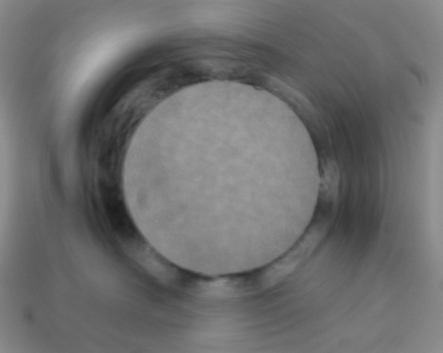 X0000113240430200910221104