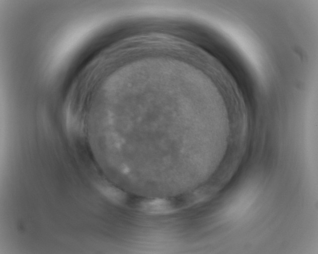 X0000113240431200910221104