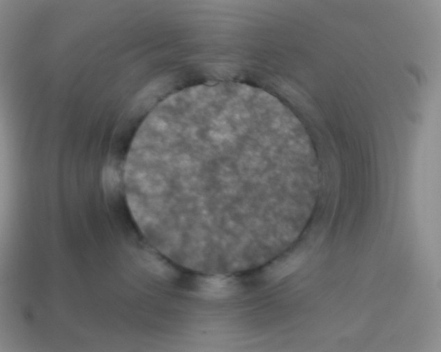 X0000113240432200910221104