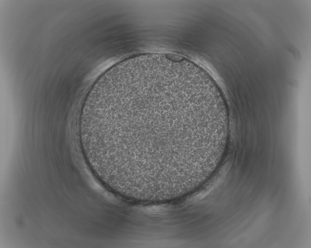 X0000113240433200910221103