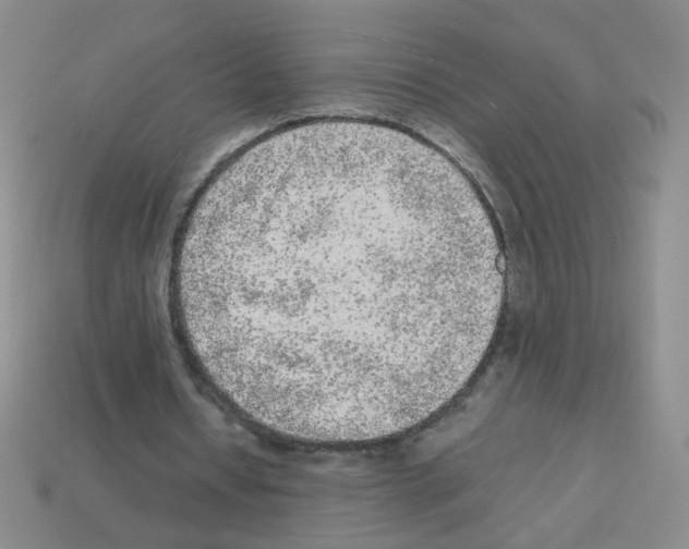X0000113240434200910221103