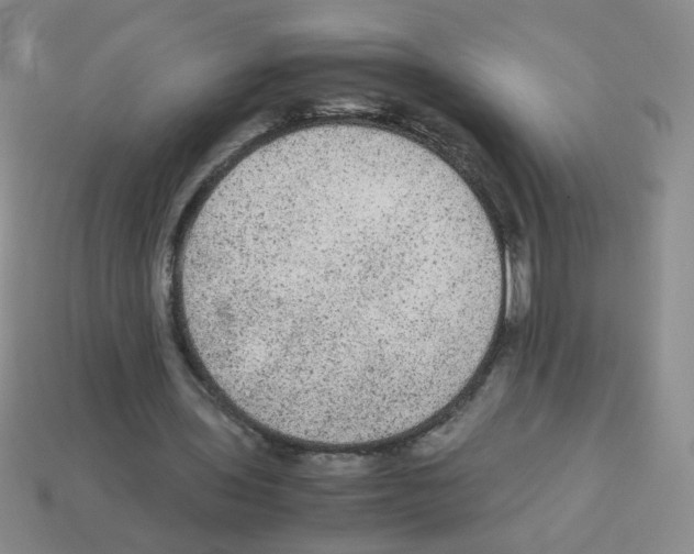 X0000113240435200910221103