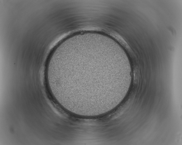 X0000113240436200910221104