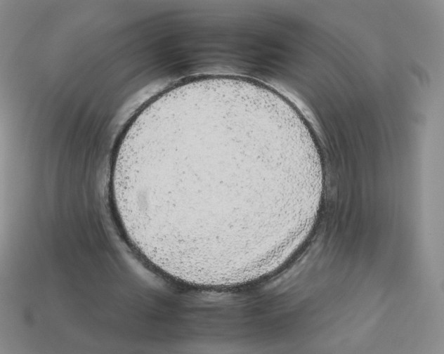 X0000113240437200910221104