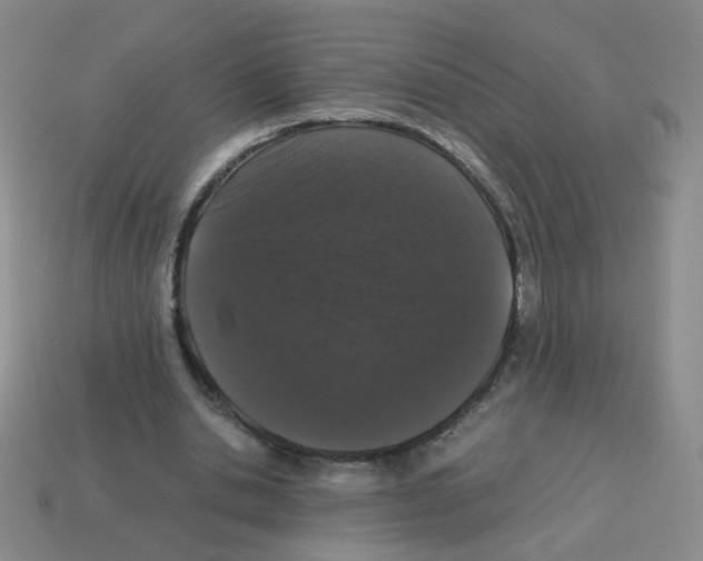 X0000113240438200910221104