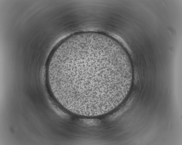 X0000113240439200910221104
