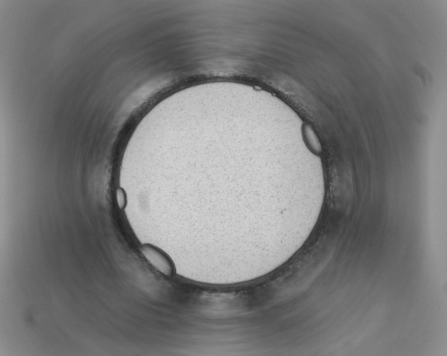 X0000113240440200910221104