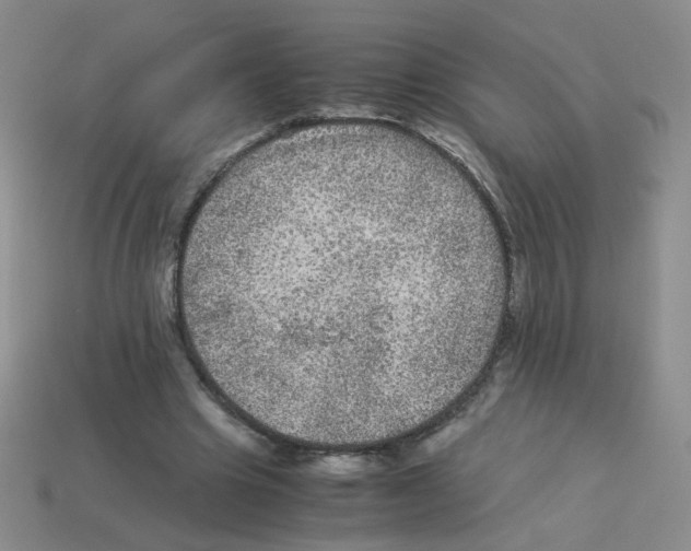 X0000113240441200910221104