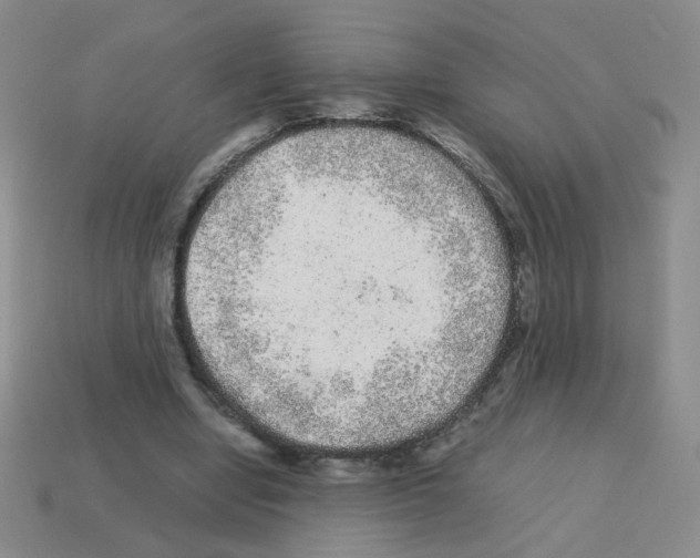 X0000113240442200910221104