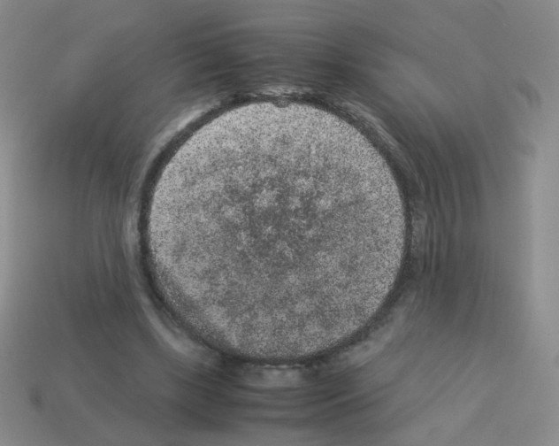 X0000113240443200910221104