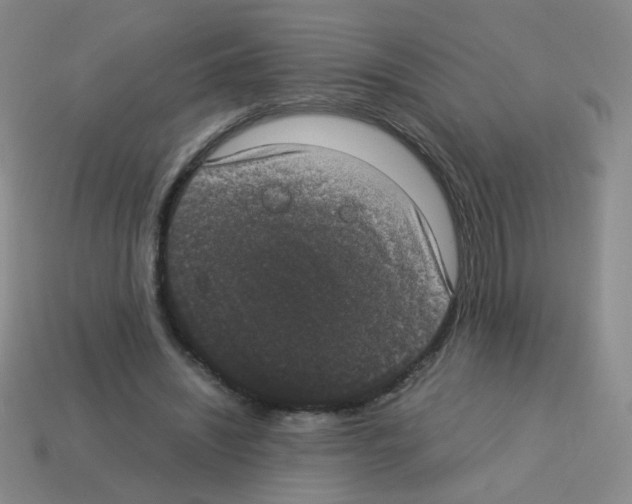 X0000113240444200910221104