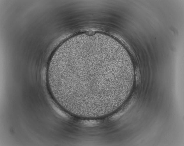 X0000113240445200910221104