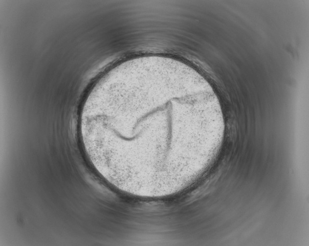X0000113240446200910221104
